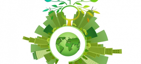 Investing in sustainable projects: the possibilities