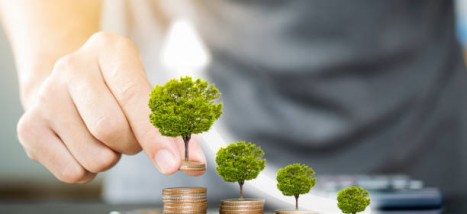 Why investors flock to green bonds